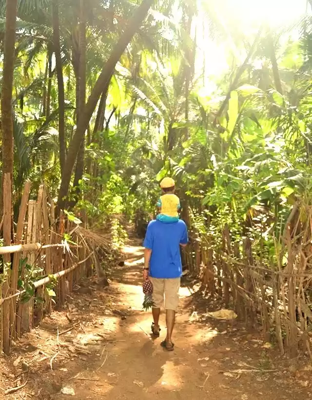 Photo of Kelshi Beach