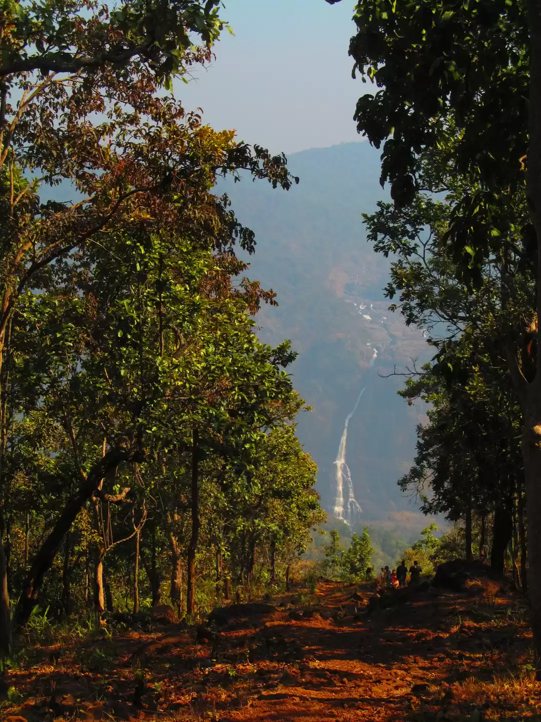 Photo of Simlipal National Park And Tiger Reserve