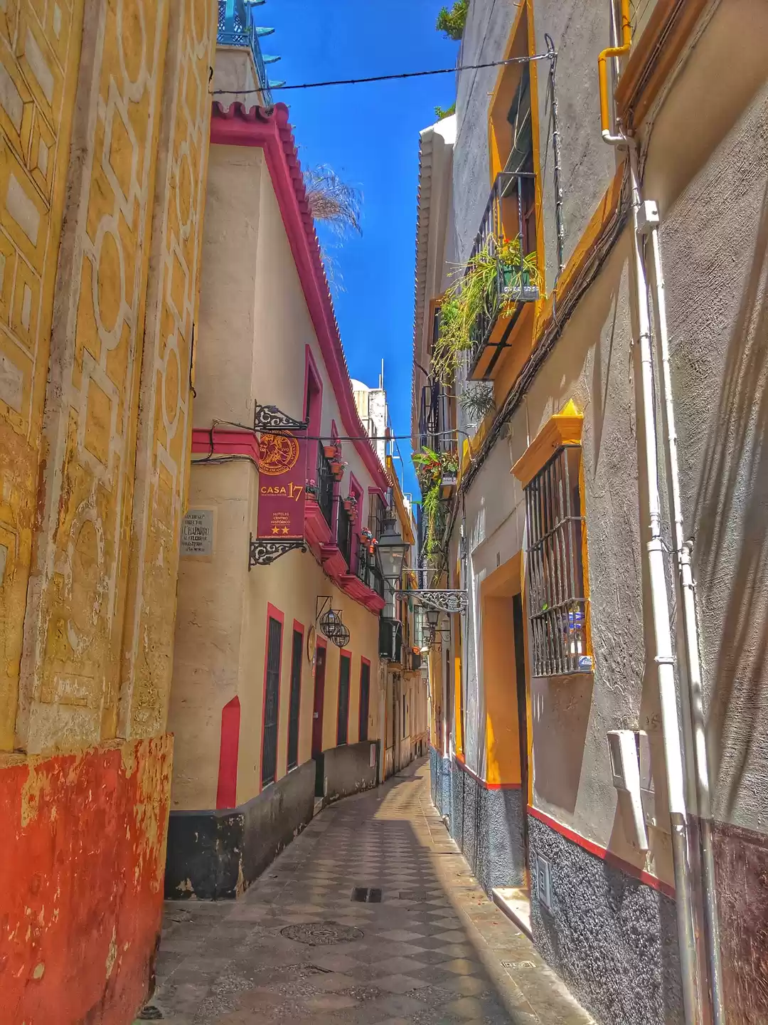 Photo of Barrio de Santa Cruz