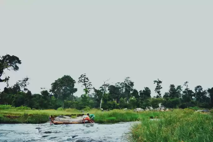 Photo of Wayanad