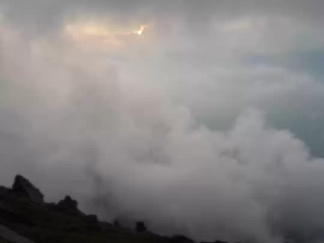 Photo of Chopta Tungnath Chandrashila Trekking