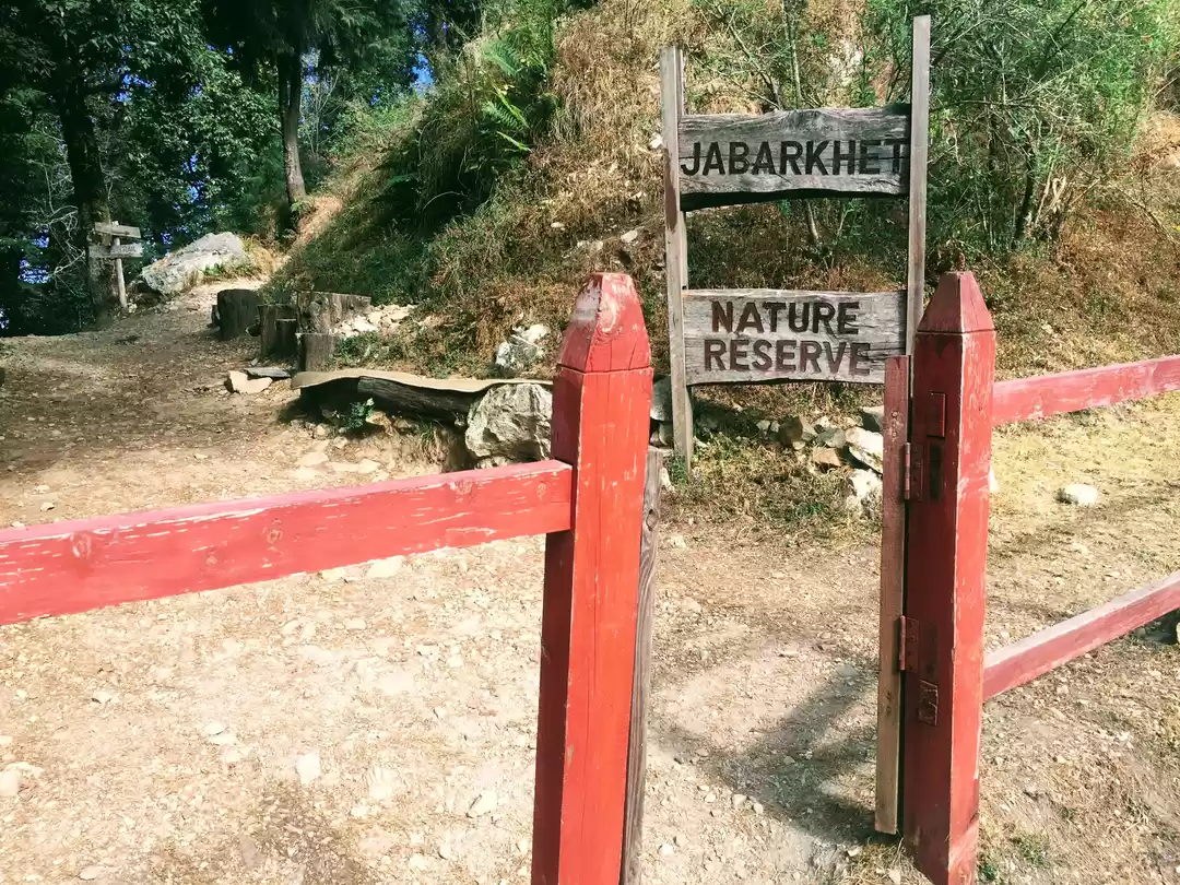 Photo of Jabarkhet Nature Res