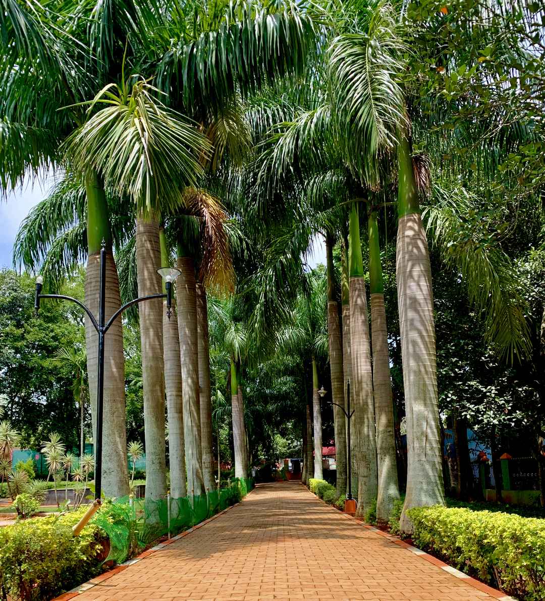 13 Places To Visit In Yelagiri To Make The Most Of Your Trip Tripoto