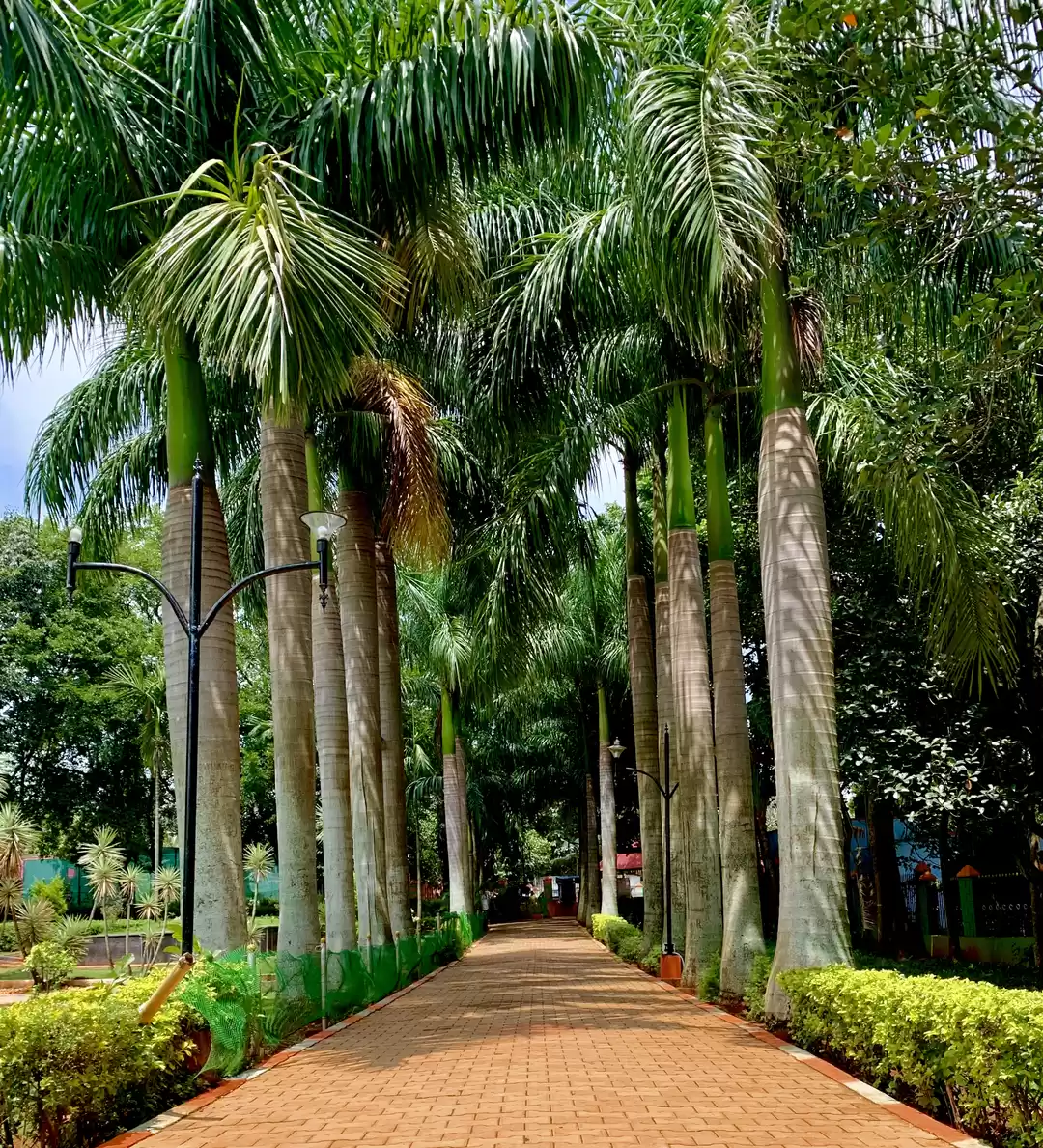 Photo of Yelagiri - Nature Park