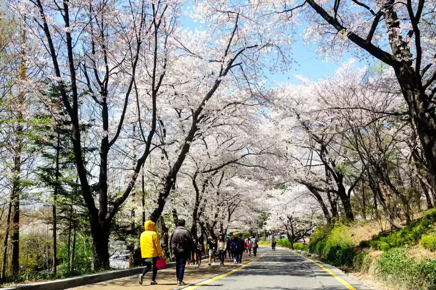 Photo of Gyeongbokgung Palace