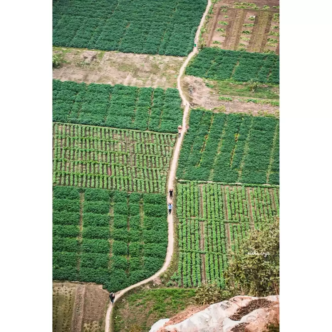 Photo of Badi Pahari Park