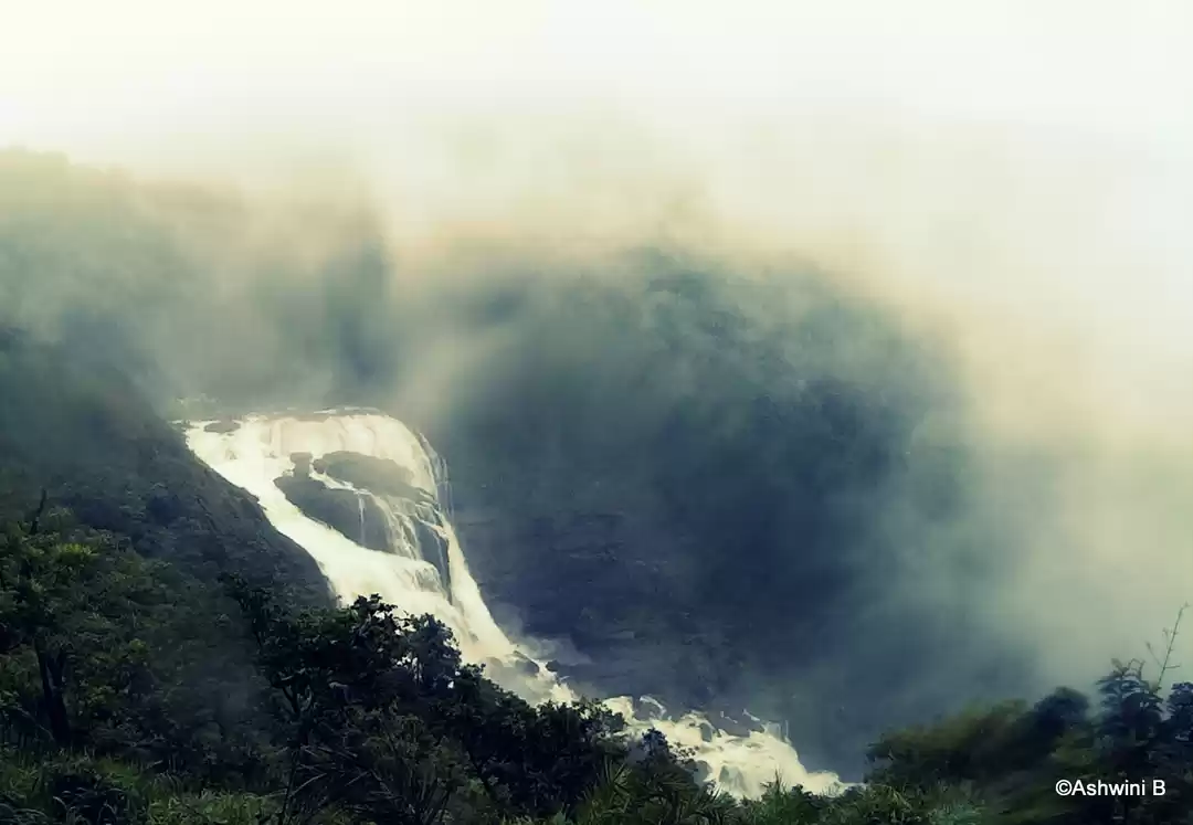 Photo of Mallalli Falls