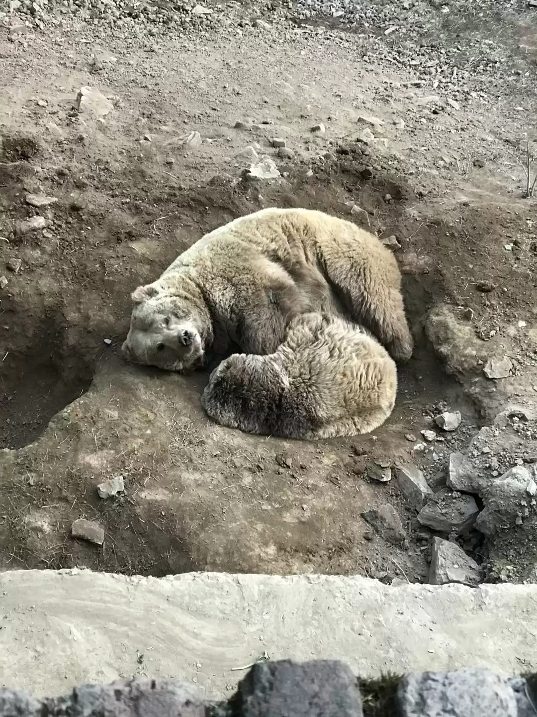 Photo of 3. Himalayan Nature Park