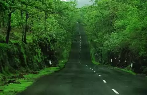 Photo of Malshej Ghat