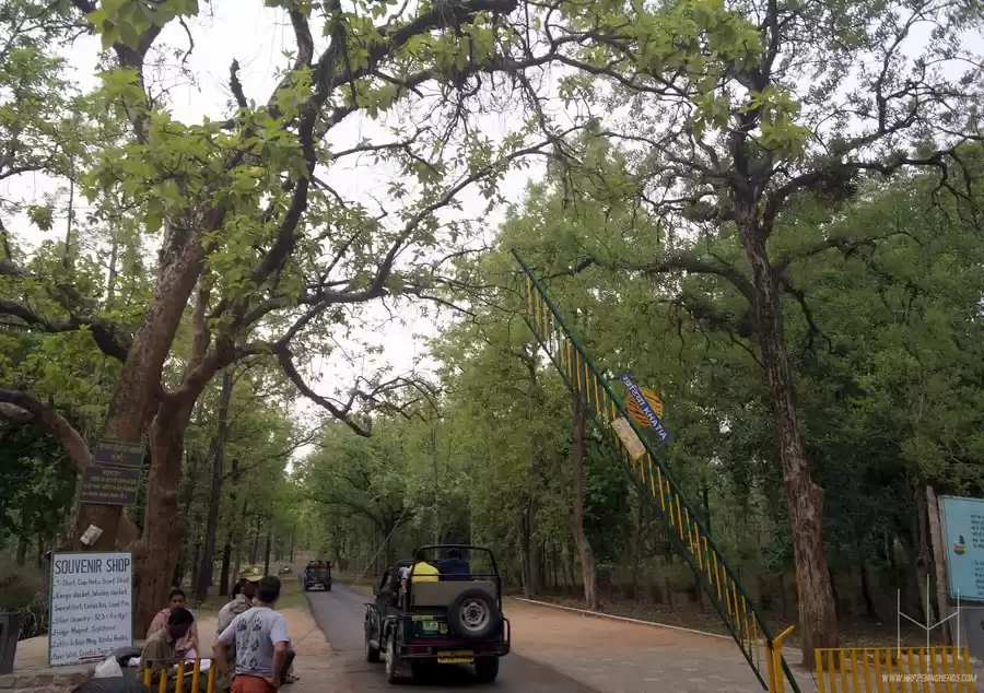 Photo of Kanha Tiger Reserve