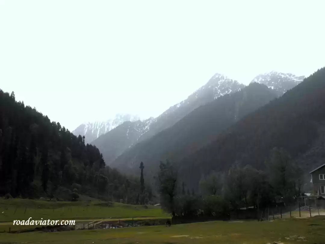 Photo of Aru Valley