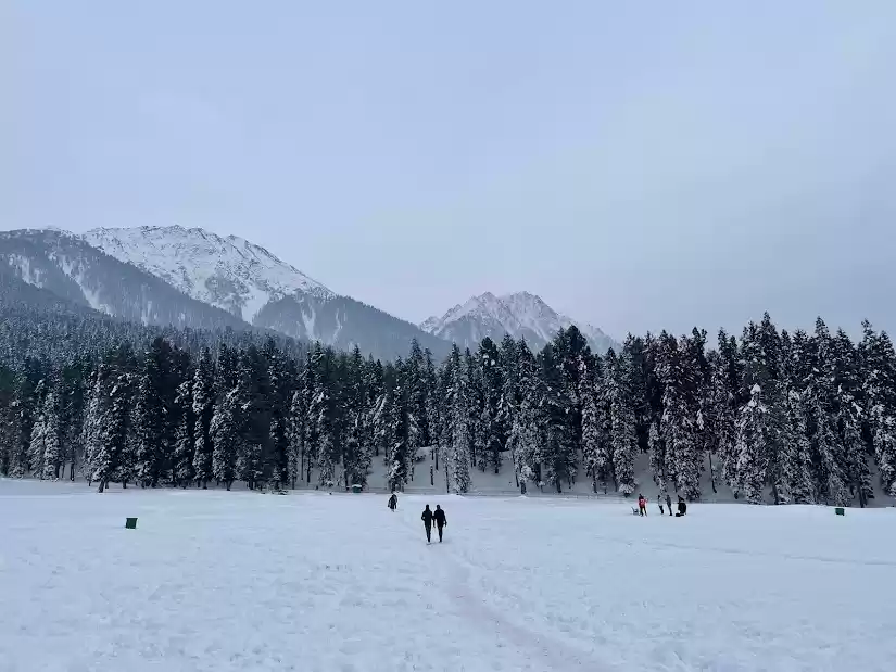 Photo of Jannat-E- Kashmir ;