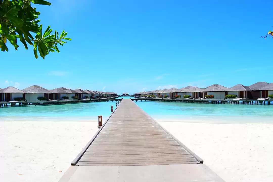 Photo of Sun, Sand, and Sea: