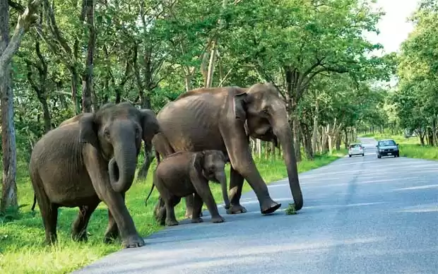 Photo of Into the Wilds of Ba