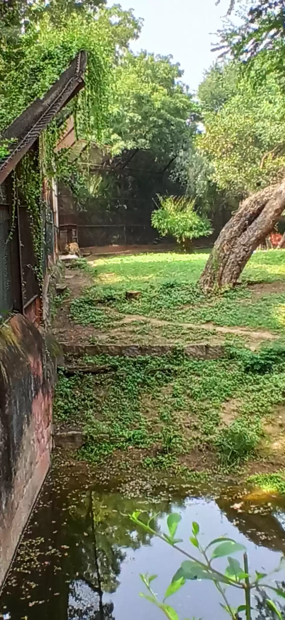 Photo of Nehru Zoological Park