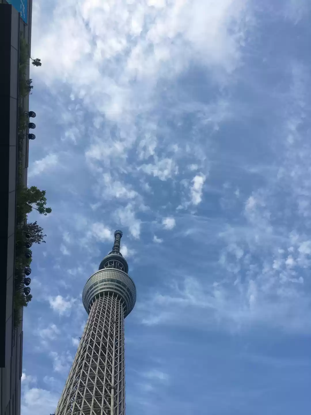 Photo of Tokyo Tower
