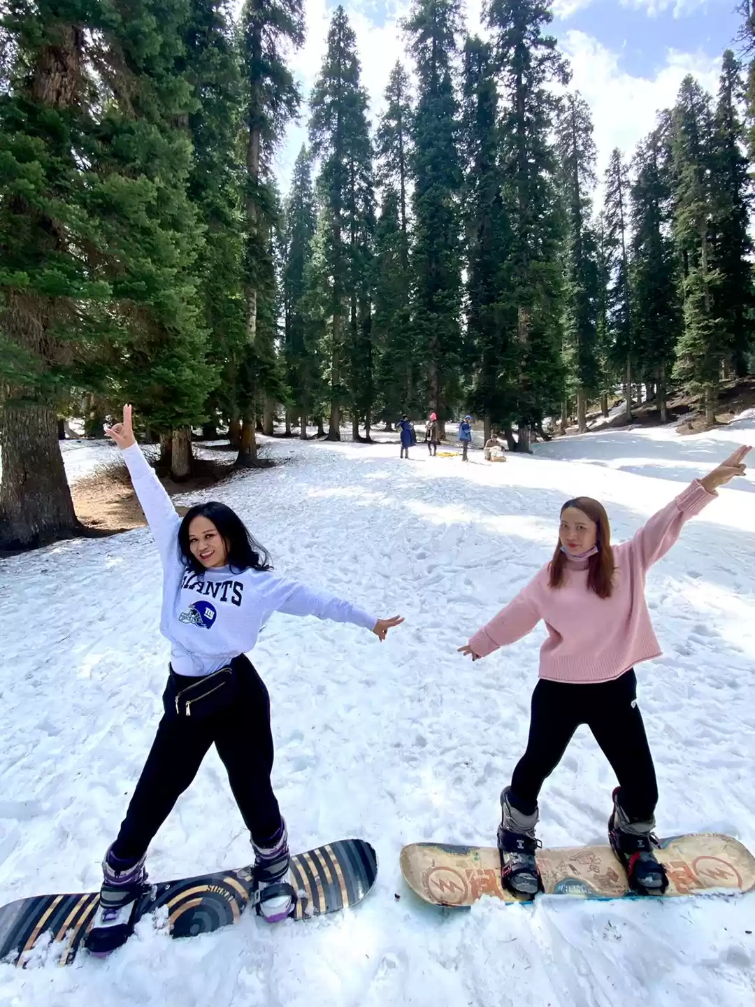 Photo of Gulmarg and Srinagar