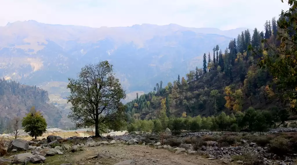 Photo of Going Through A Hear