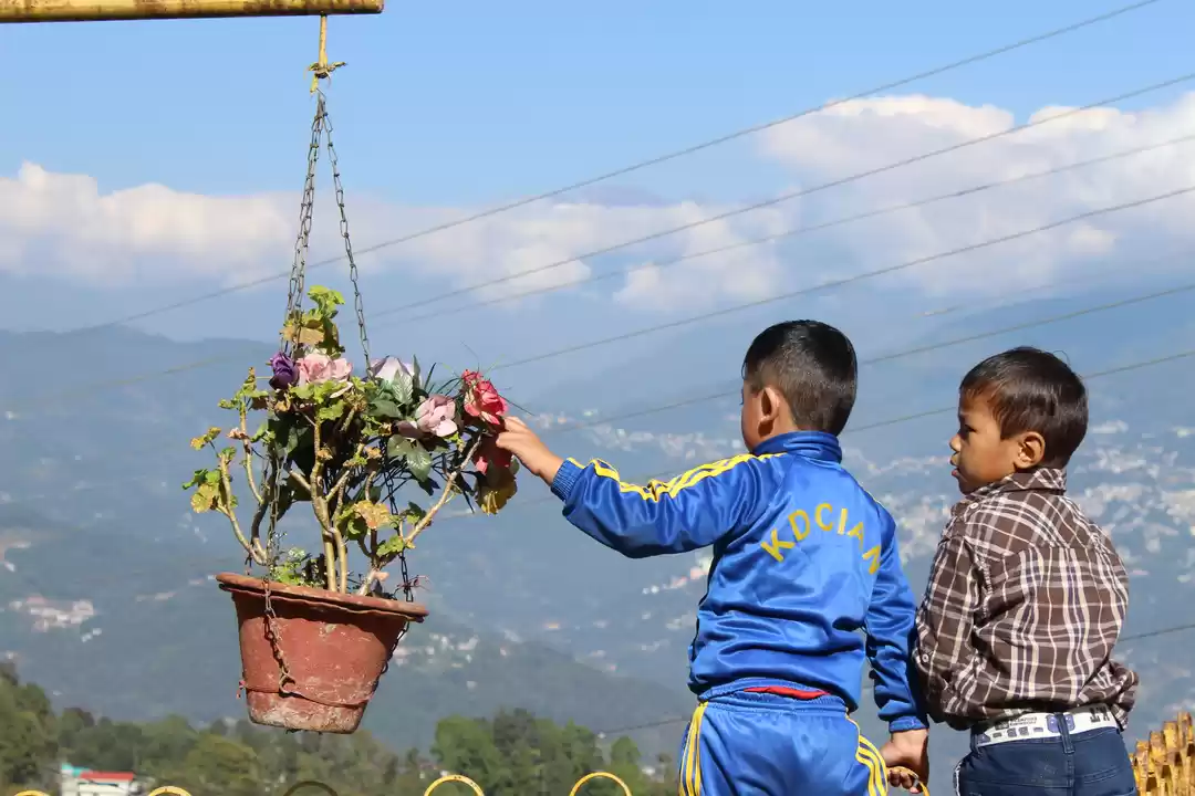 Photo of Bagdogra to Gangtok: