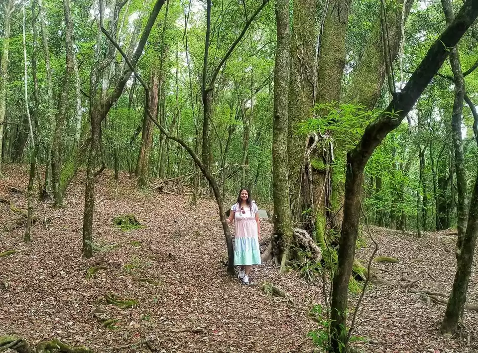 Photo of Best Travelogues Of 