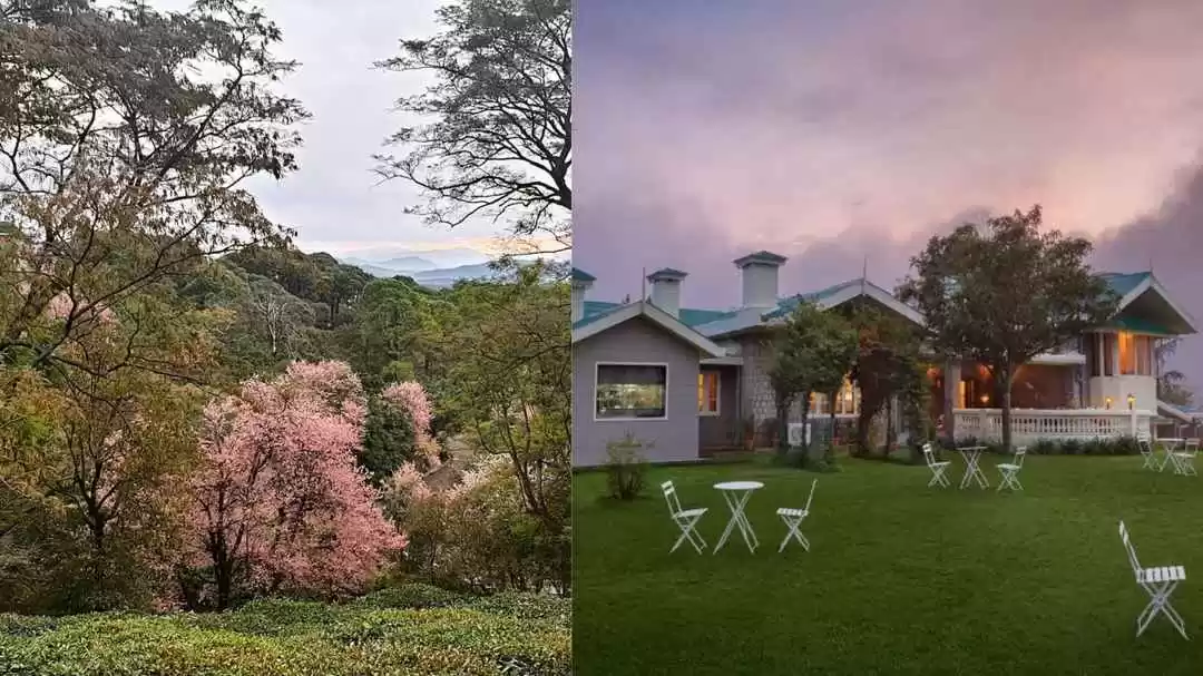 Photo of Come to Dharams