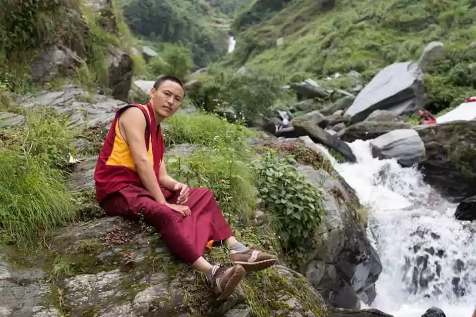 Photo of Nestled In The 