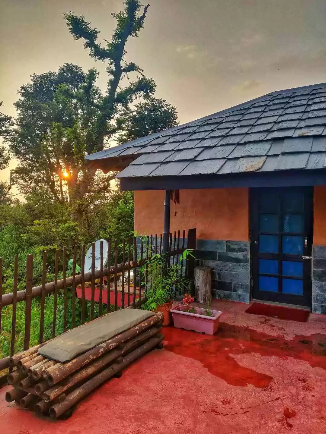 Photo of Evening Walk Am