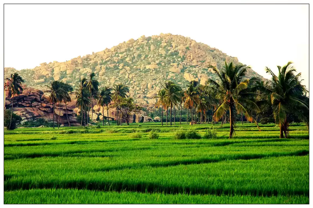 Photo of Hippie Island, Hampi