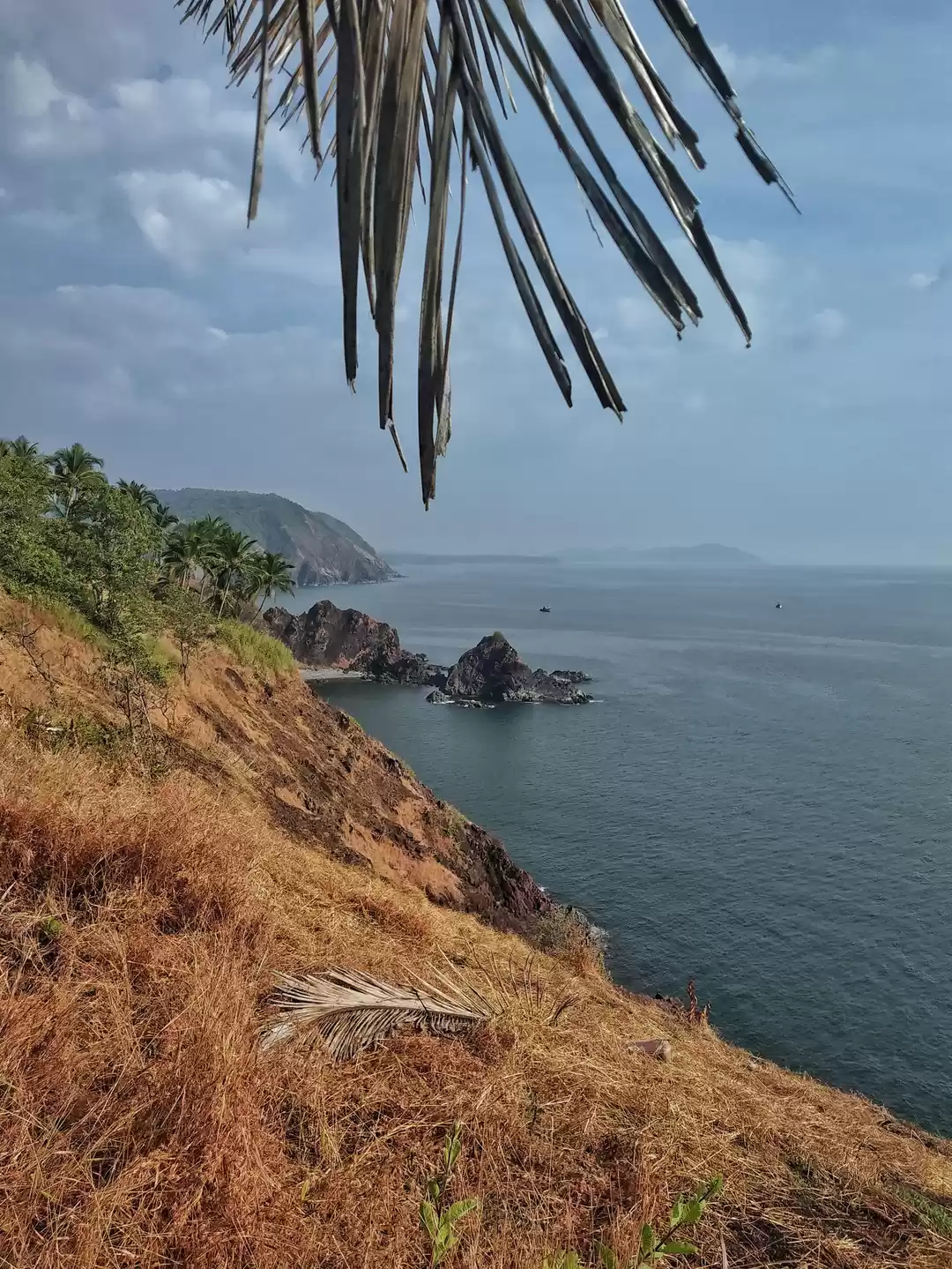 Photo of गोवा के 10 स्थान जहा