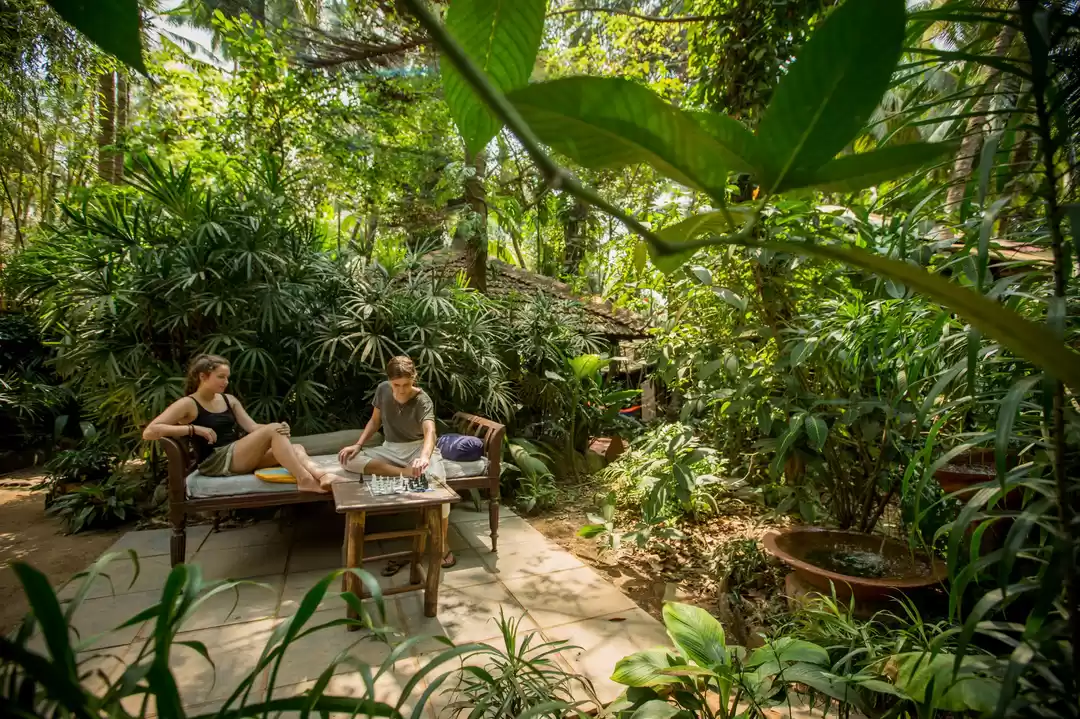 Photo of Bhakti Kutir: An Ayu