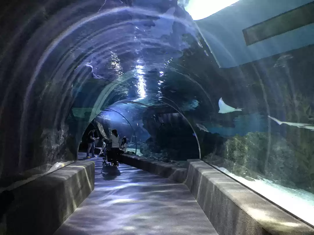 Photo of SEA LIFE Bangkok Ocean World