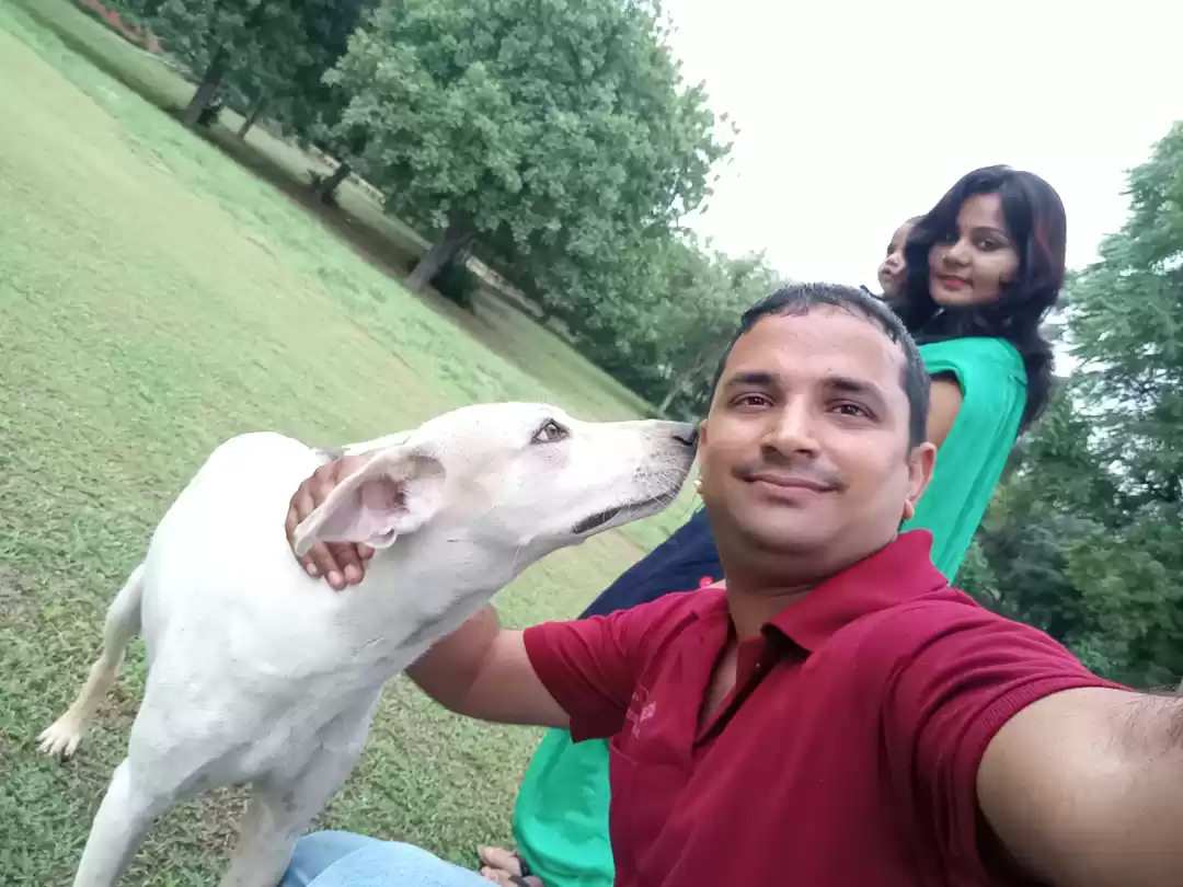 Photo of Sultanpur National Park