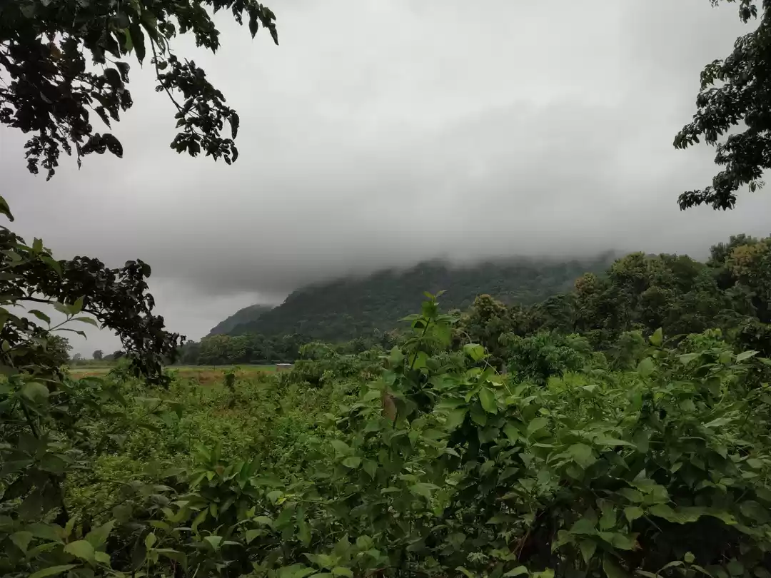 Photo of Pobitora Wildlife Sanctuary