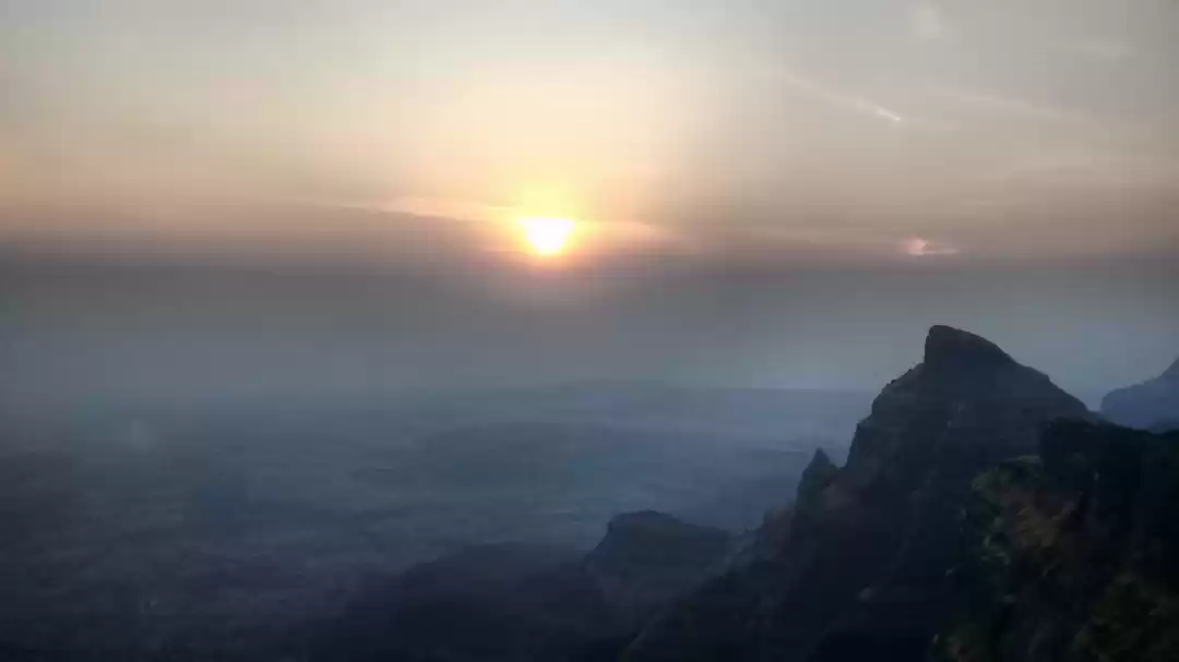 Photo of Konkan Kada