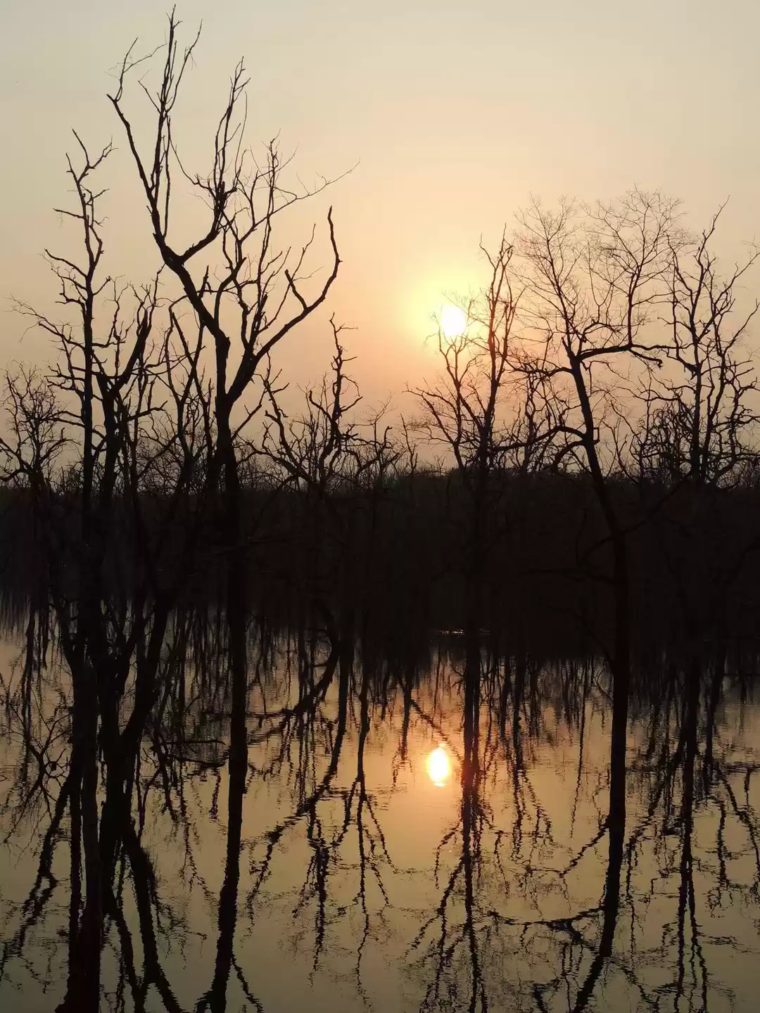 Photo of Barnawapara Forest Range