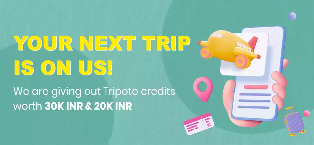 Photo of Participate in Tripo
