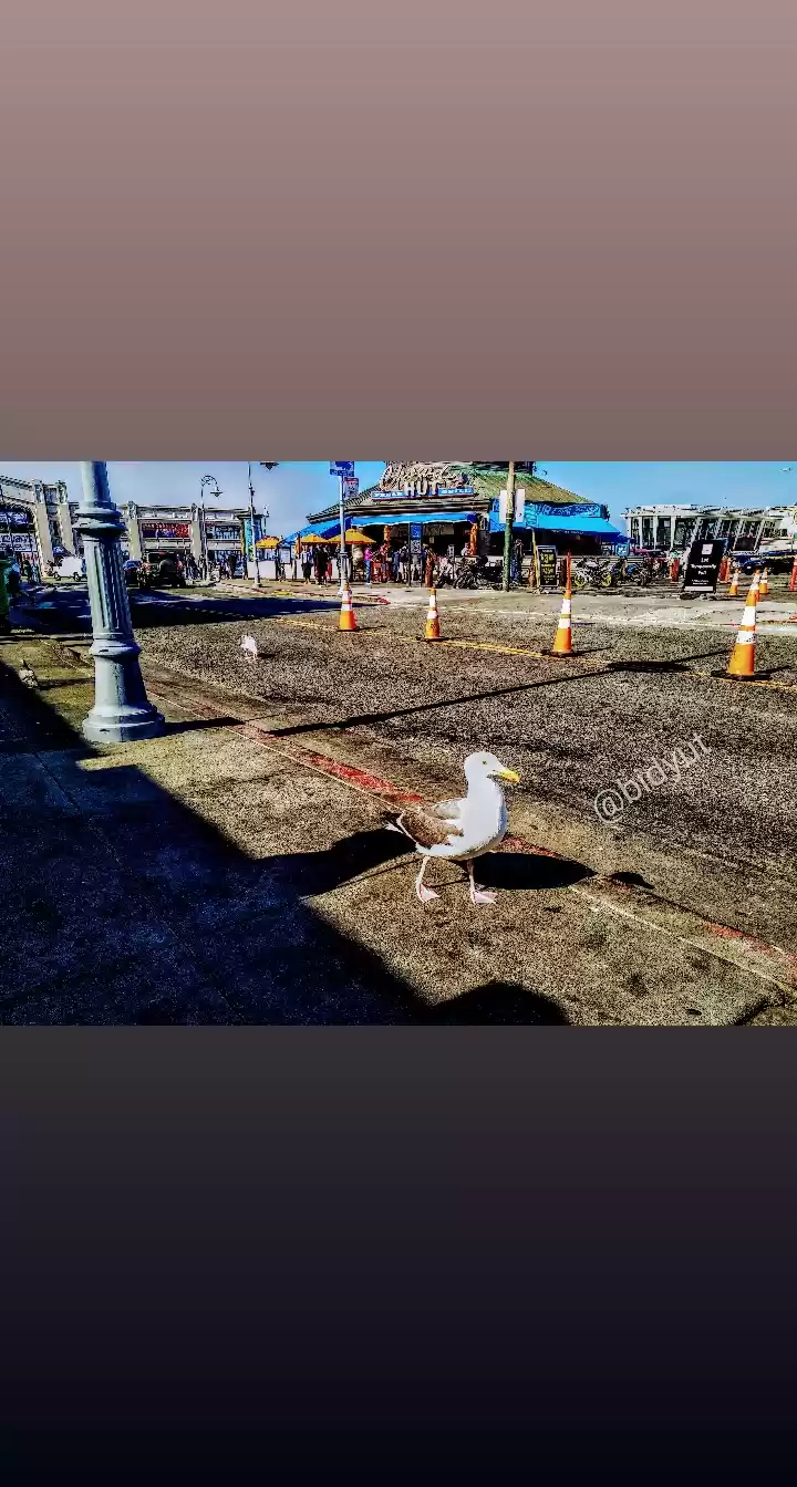Photo of Fisherman's Wharf