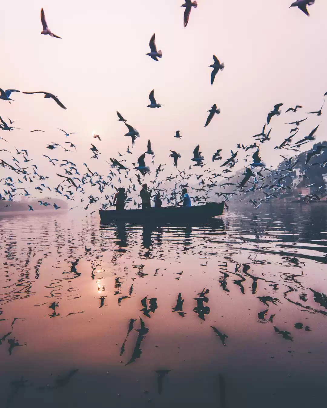 Photo of Yamuna Ghat