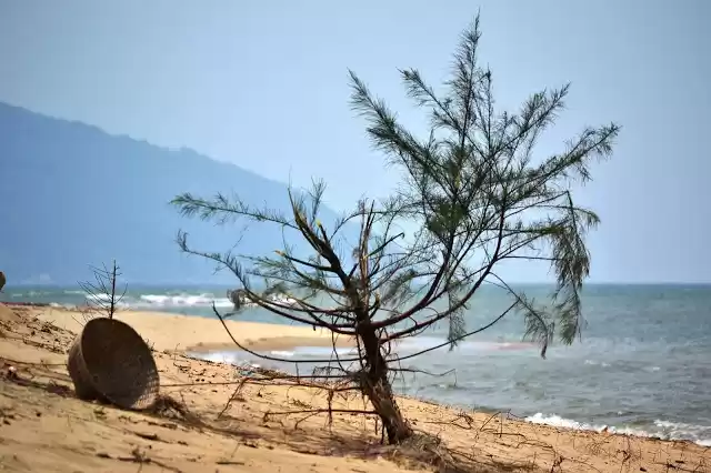 Photo of Kurumgad Island