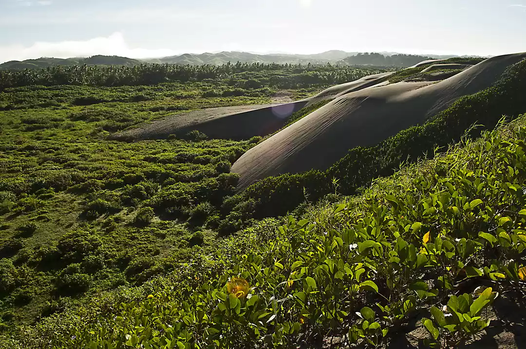 Photo of Sigatoka Sand Dunes