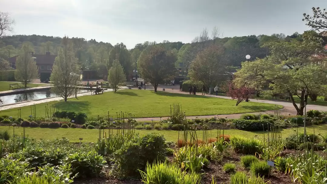 Photo of Göteborg Botaniska Trädgården