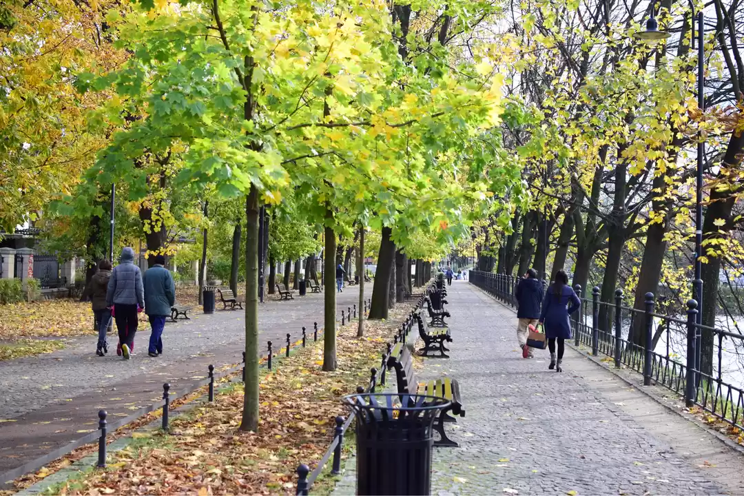 Photo of Wroclaw