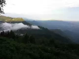 Photo of Coakers Walk