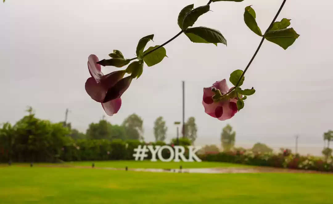 Photo of York Winery & Tasting Room