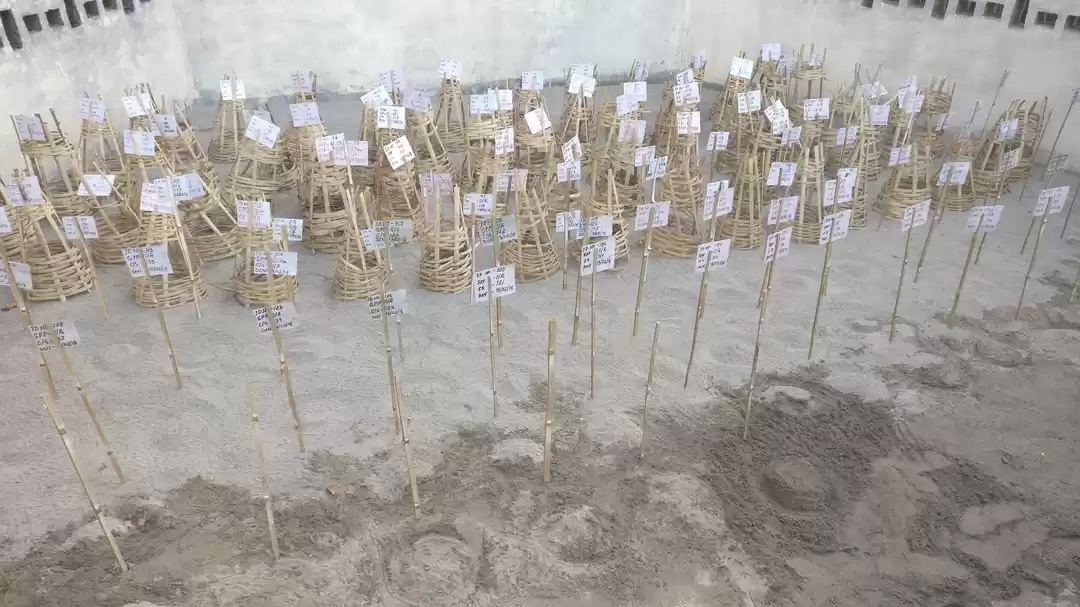 Photo of Diglipur Beach