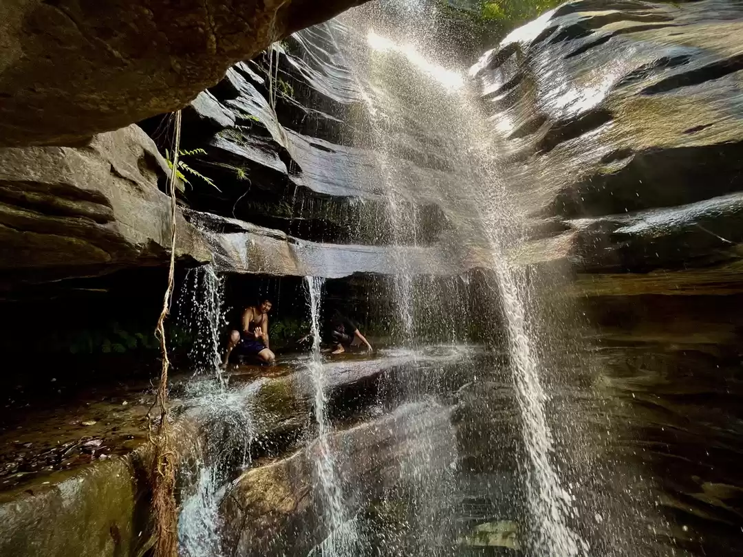 Photo of Looking For A Quick 