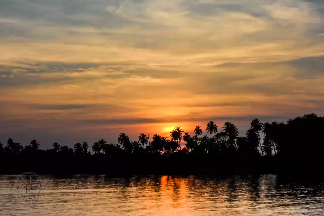 Photo of Chapora River