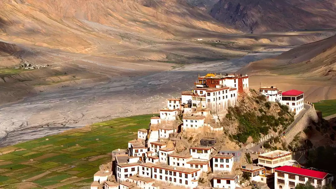 Photo of These Destinations W