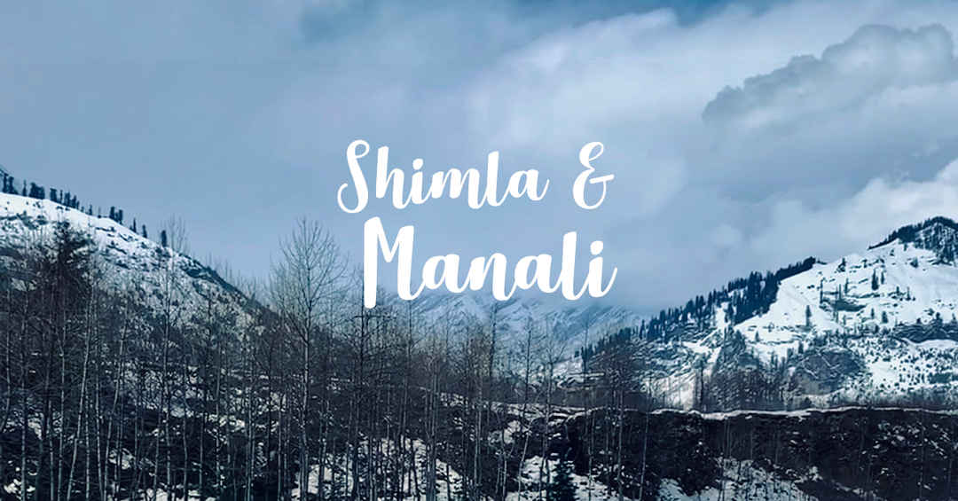 Book Manali Kullu Shimla Tour Packages Tripoto