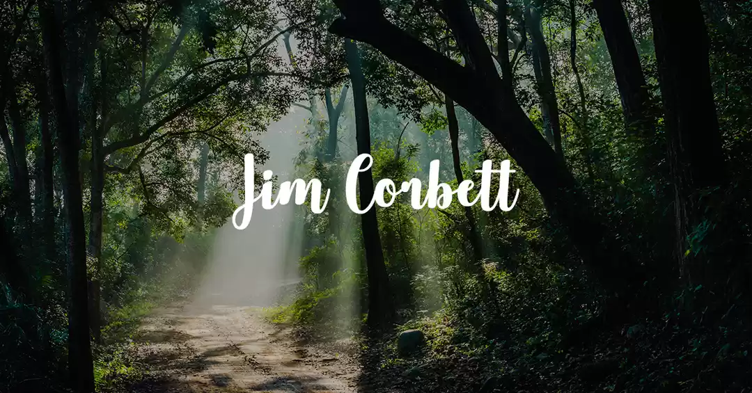 Image 1 of Jim Corbett National Park 01 Night /02 Days